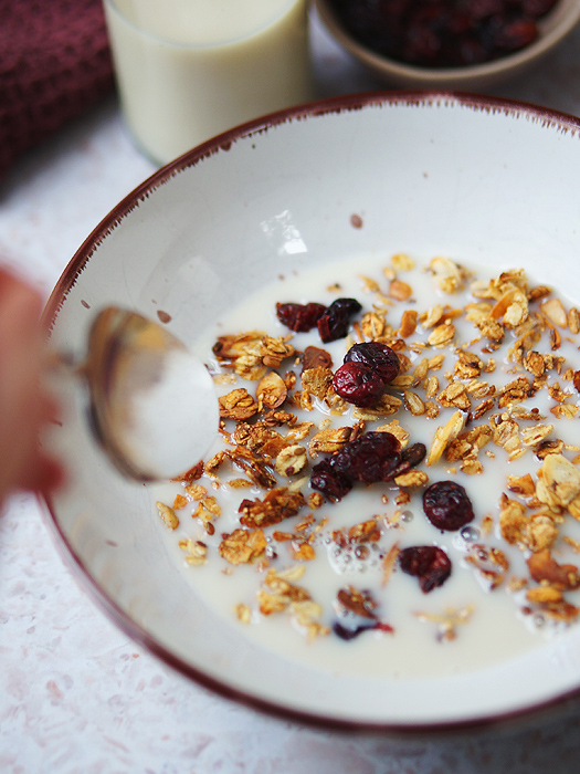 Granola selbst machen (ohne Zucker)